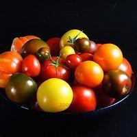Pomodori, Pomodori, Pomodori
