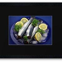 Maitage, Heringstage