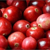 Cranberries – vitaminbomben mit schmankerl-charme