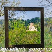 Oster-rückblick – 2019: der baumkronenweg in waldkirch