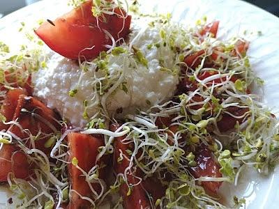 Hüttenkäse mit Tomate und Sprossen