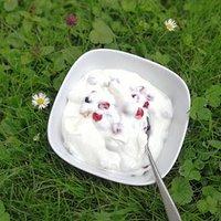 Schnelles Dessert mit Johannisbeeren