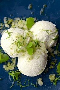 Frosty Friends:Sauerampfer-Eis mit Gurken-Granita