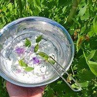 Frühlingshafter Kräuterdip mit Liebstöckel