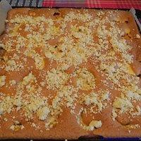 Aprikosen-Streusel mit Quarktupfen