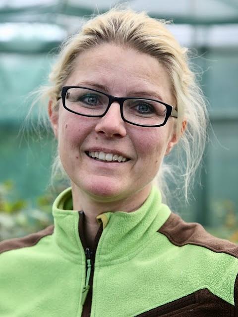 Freilandpilze aus thüringen: austernseitlinge, shitake und trüffel