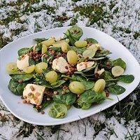 Linsen-Spinat-Salat mit Mozzarella und Trauben