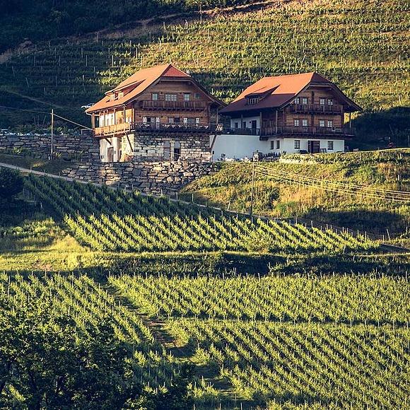 Weingut karnburg mit restaurant leiten in kärnten bei klagenfurt