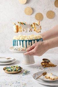 Regenbogen bunte einhorn-karussel-torte & verlosung