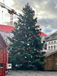 Weihnachtsmärkte in Düsseldorf 2023