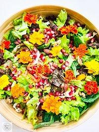 Blumig-bunter winter salat – flowery and colorful winter salad