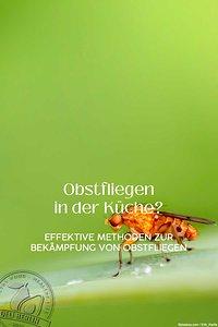 Effektive methoden zur bekämpfung von obstfliegen in der küche