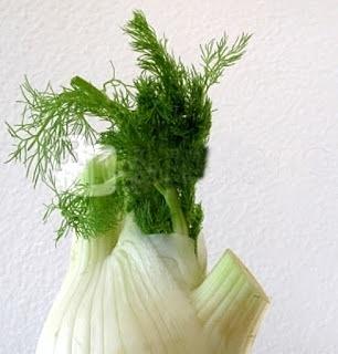 Fenchel mit Nüssen