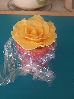Meine erste Rose