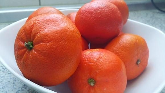 Orangen und Mandarinen