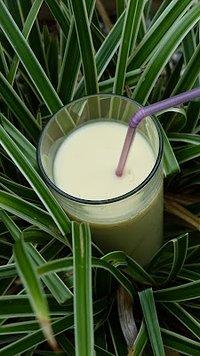 Karibik ~ Feeling = cremiger Piña ~ Colada ~ Smoothie