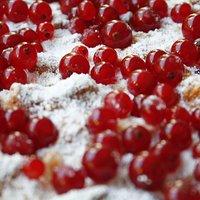Ribisel- Ricotta -Torte