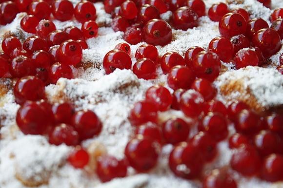 Ribisel Ricotta Torte