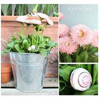 Ab in den Garten : wo ist der Frühling ?  *  gardening : search for the Spring