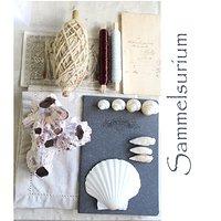 Sammelsurium aus Muscheln und anderem ! Mingel-mangel make a Smorgasbord with shells and something else !