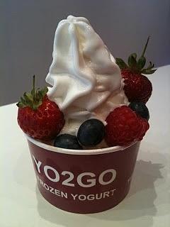 Frozen Yoghurt selber machen