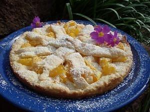 Orangen-Joghurt-Kuchen vegan