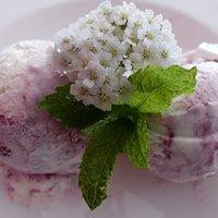 Joghurteis mit Waldfrucht