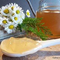 Gänseblümchen Gelee