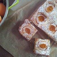 Aprikosenkuchen