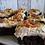 Backen
