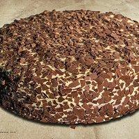Die Gudrun von Mödling Torte