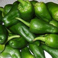 Fast Food: Chilis Padron, Tortelloni mit Ricotta + Spinatfüllung