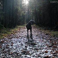 Herbst-Spaziergang mit Paula