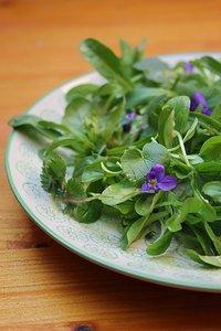 Wildkräutersalat mit Schnittlauch-Vinaigrette und eine Verlosung