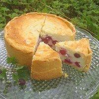 Stachelbeer-Käsekuchen