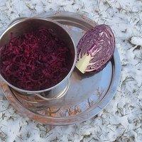 Klassischer Apfelrotkohl nach Lafer