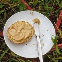 Rhabarber-Aufstrich (Rhubarb Curd)