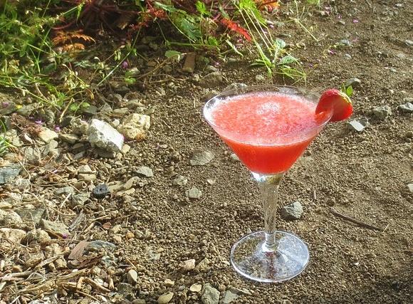 Campari Primavera
