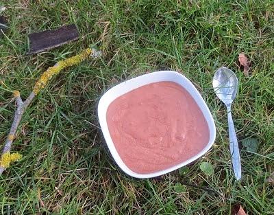 Weihnachtliche Mousse au Chocolat