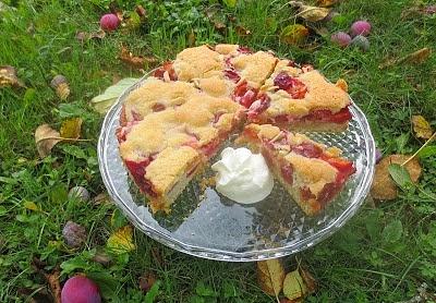 Zwetschgen-Sandkuchen