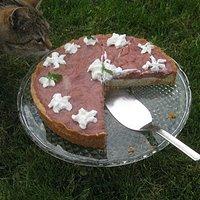 Rhabarber-Vanilleschmand-Torte
