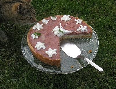 Rhabarber Vanilleschmandtorte