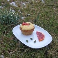 Blutorangen-Cupcakes