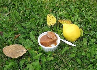 Quittenmus und Quittenkonfitüre