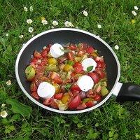 Tomaten mit Ziegenkäse