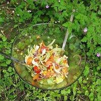 Salat für heiße Tage