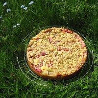 Nachgebacken: Rhabarber-Quark-Grießkuchen