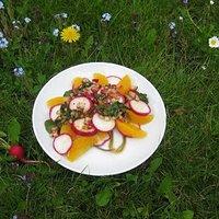 Radieschen-Orangen-Salat