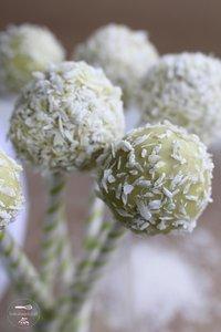 Sagenhaft leckere Spekulatius-Cake Pops, ein Blick in die fast letzte Degustabox in diesem Jahr und warum Ihr dringend mehrere Packungen Spekulatius verstecken solltet