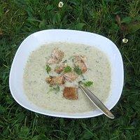 Zucchinicremesuppe